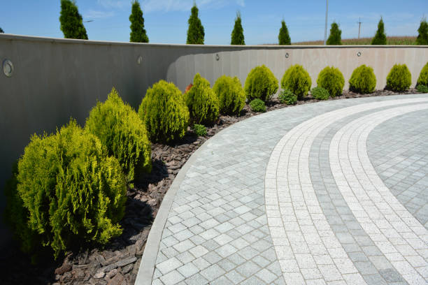 Best Driveway Paver Repairs and Restoration in Christiana, TN